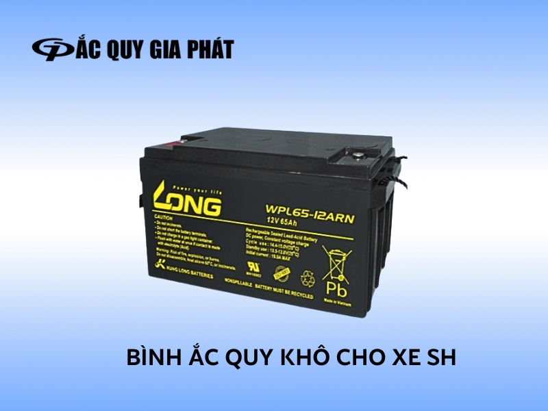 Loại bình ắc quy khô VRLA chất lượng cao