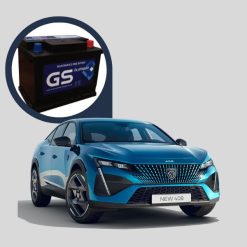 Ắc quy xe Peugeot