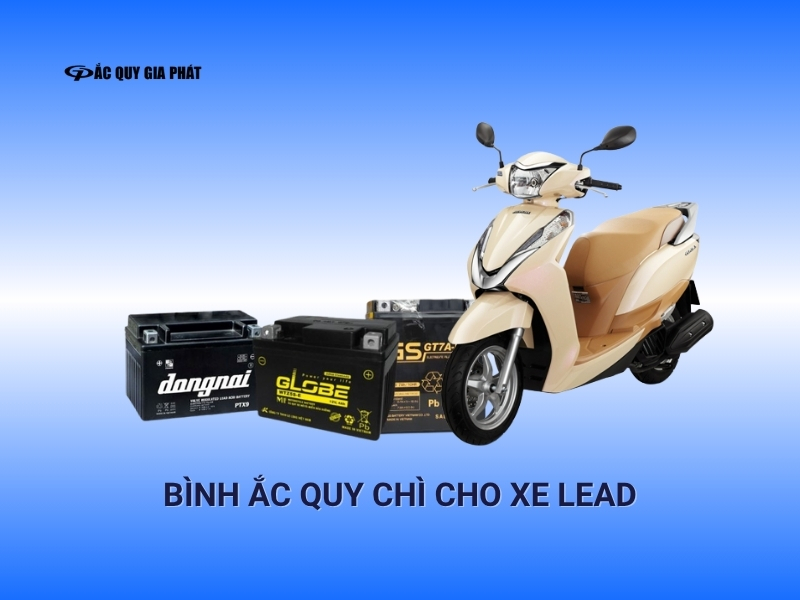 Bình ắc quy chì axit cho xe Lead