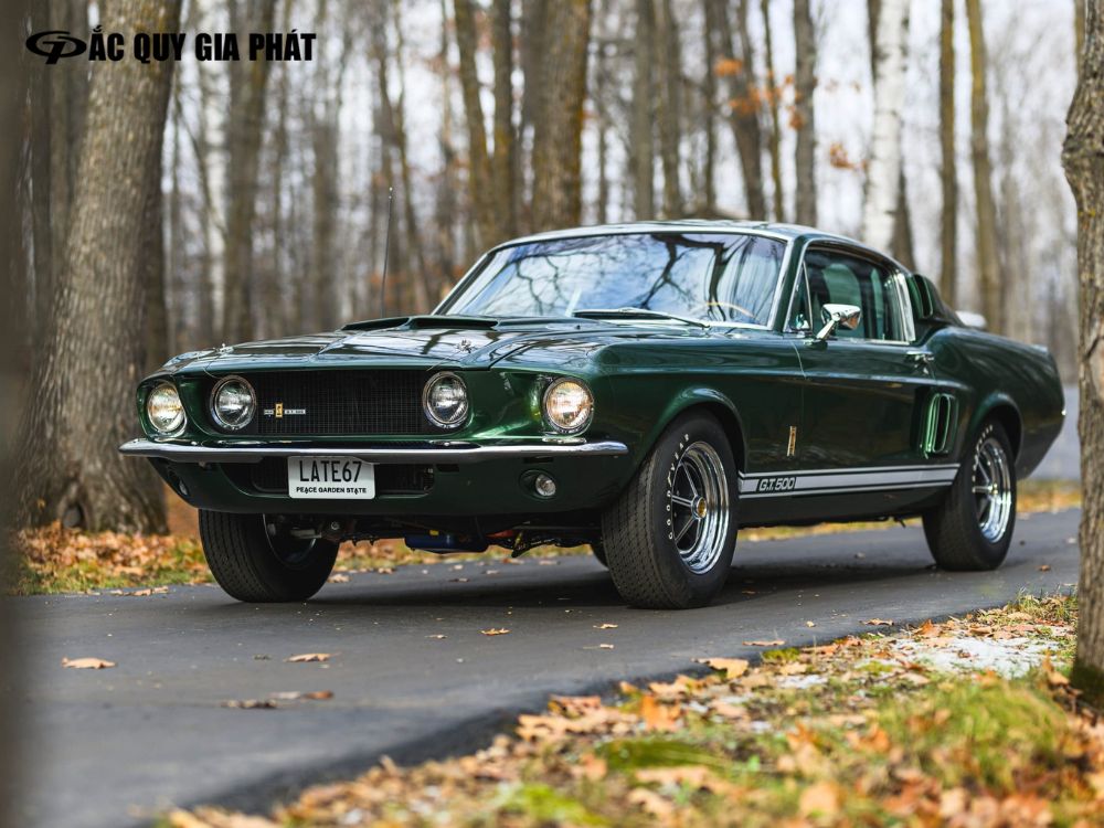 Xe ô tô màu xanh rêu hợp với chủ xe mệnh mộc và hoả