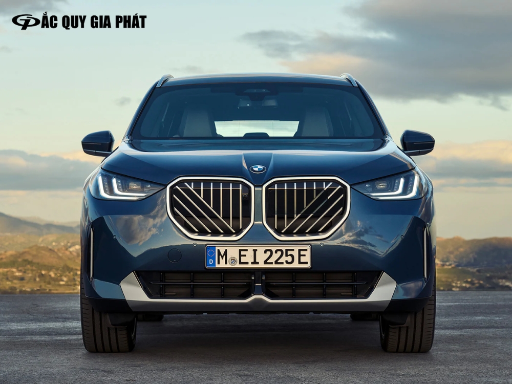 Lưới tản nhiệt đặt trưng của thương hiệu BMW